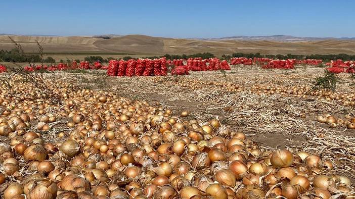 Bu yöntemler soğan doğrarken göz yaşarmasını engelliyor 9